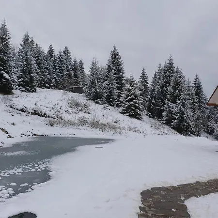 над фермою * Nizhniy Studenyy