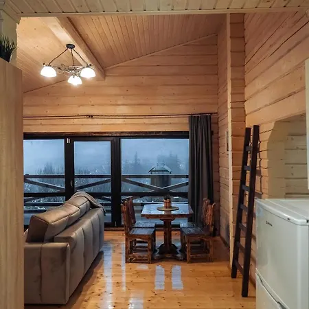 над фермою * Nizhniy Studenyy