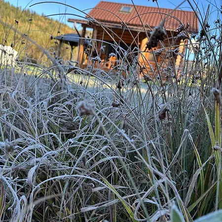 над фермою Villa