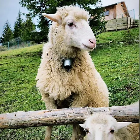 Vila над фермою *