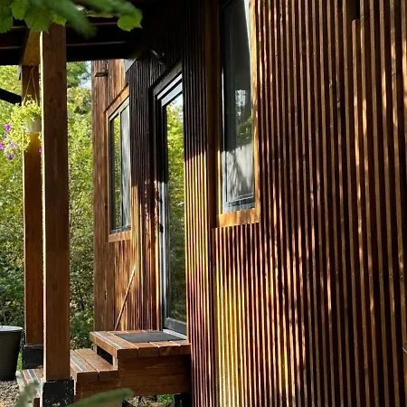 над фермою Nizhniy Studenyy